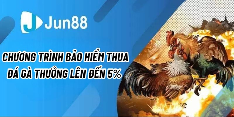 Bảo hiểm thua Đá Gà lên tới 5%